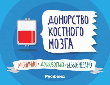 Как стать донором костного мозга?