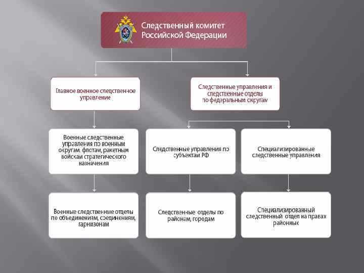 Принципы работы Следственного комитета РФ