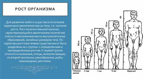 Опекунство в России: кто может стать опекуном